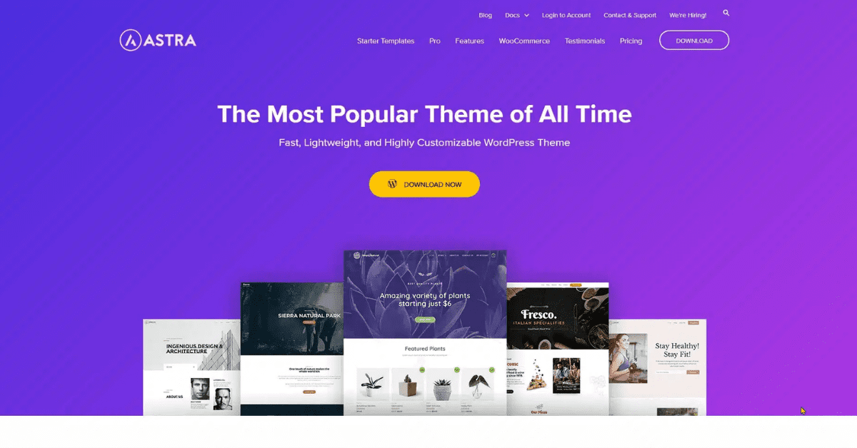 Theme Astra WordPress