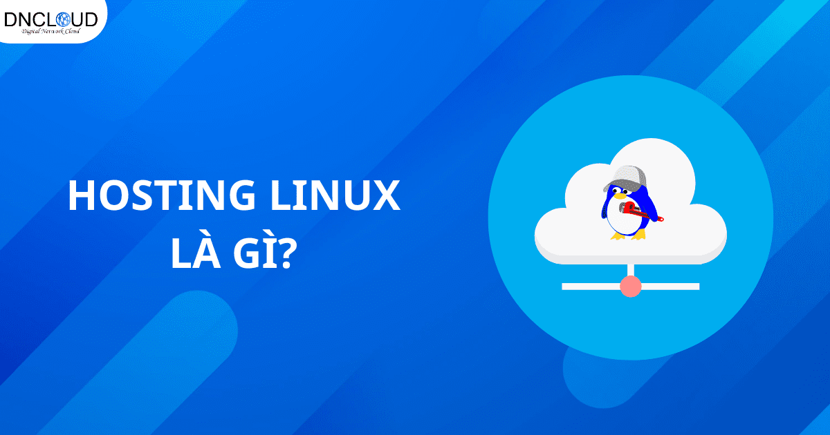 Hosting Linux là gì? Chi tiết về Linux hosting mới nhất 2025