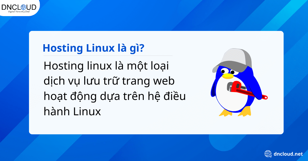 Hosting Linux là gì?